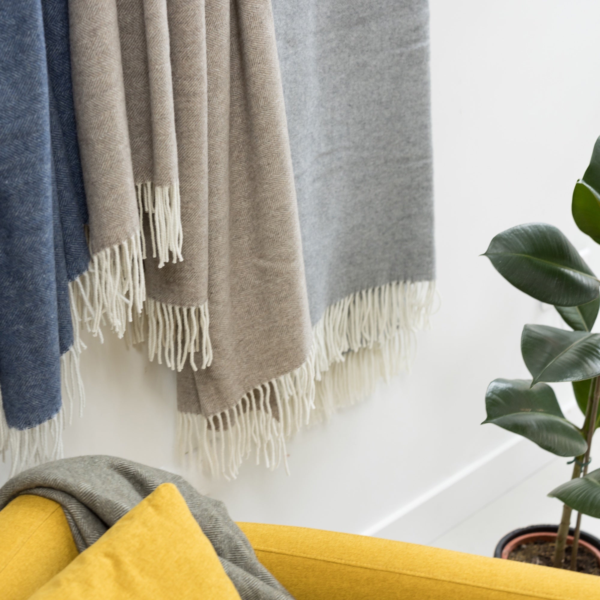 plaid carina perla, colore perla, taglia 130 x 190. perfetta per rilassarsi nelle serate invernali