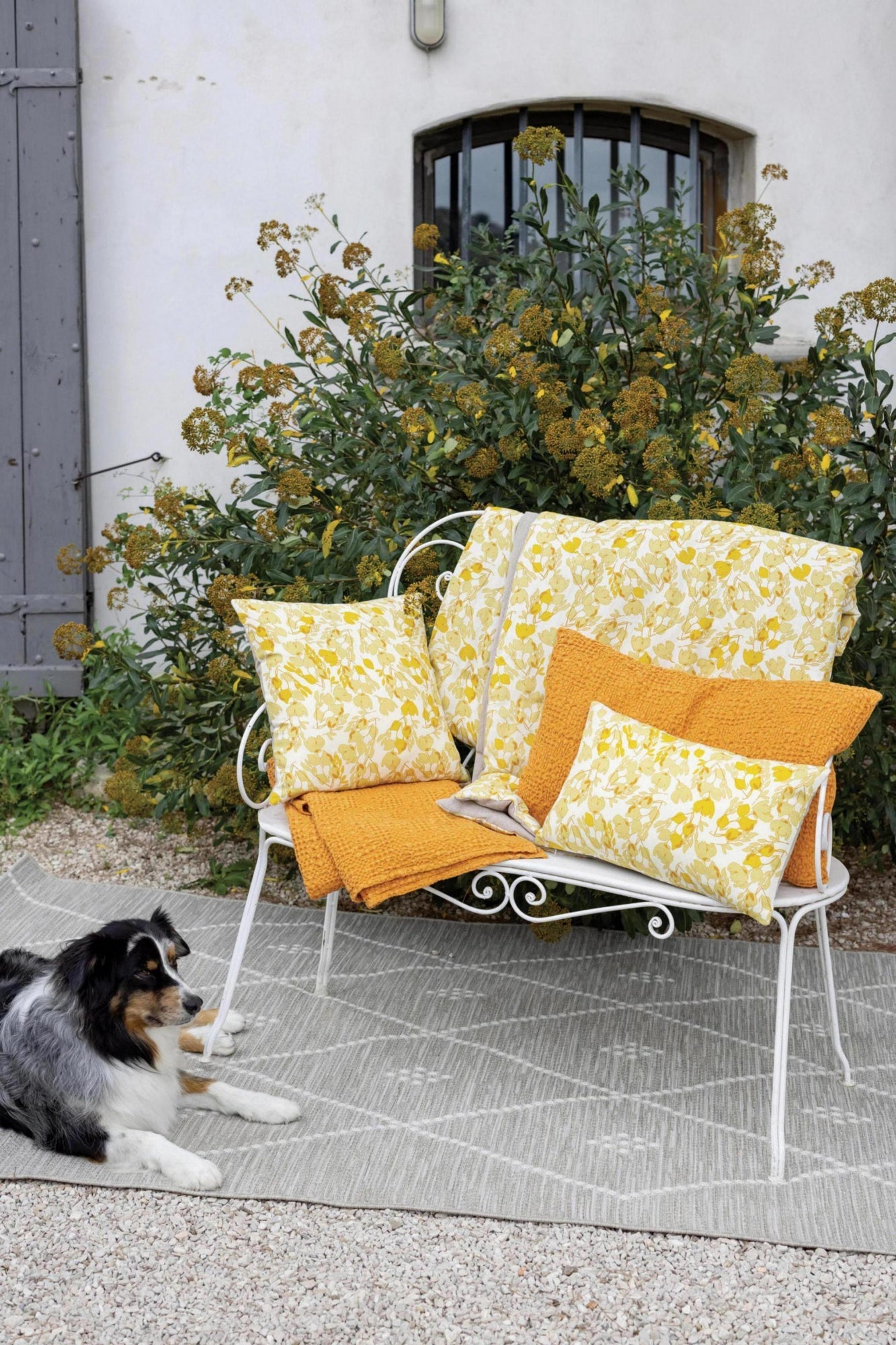 plaid tana senape, colore senape, taglia 240 x 260. coperta di qualità ideale per le notti fredde o il relax sul divano