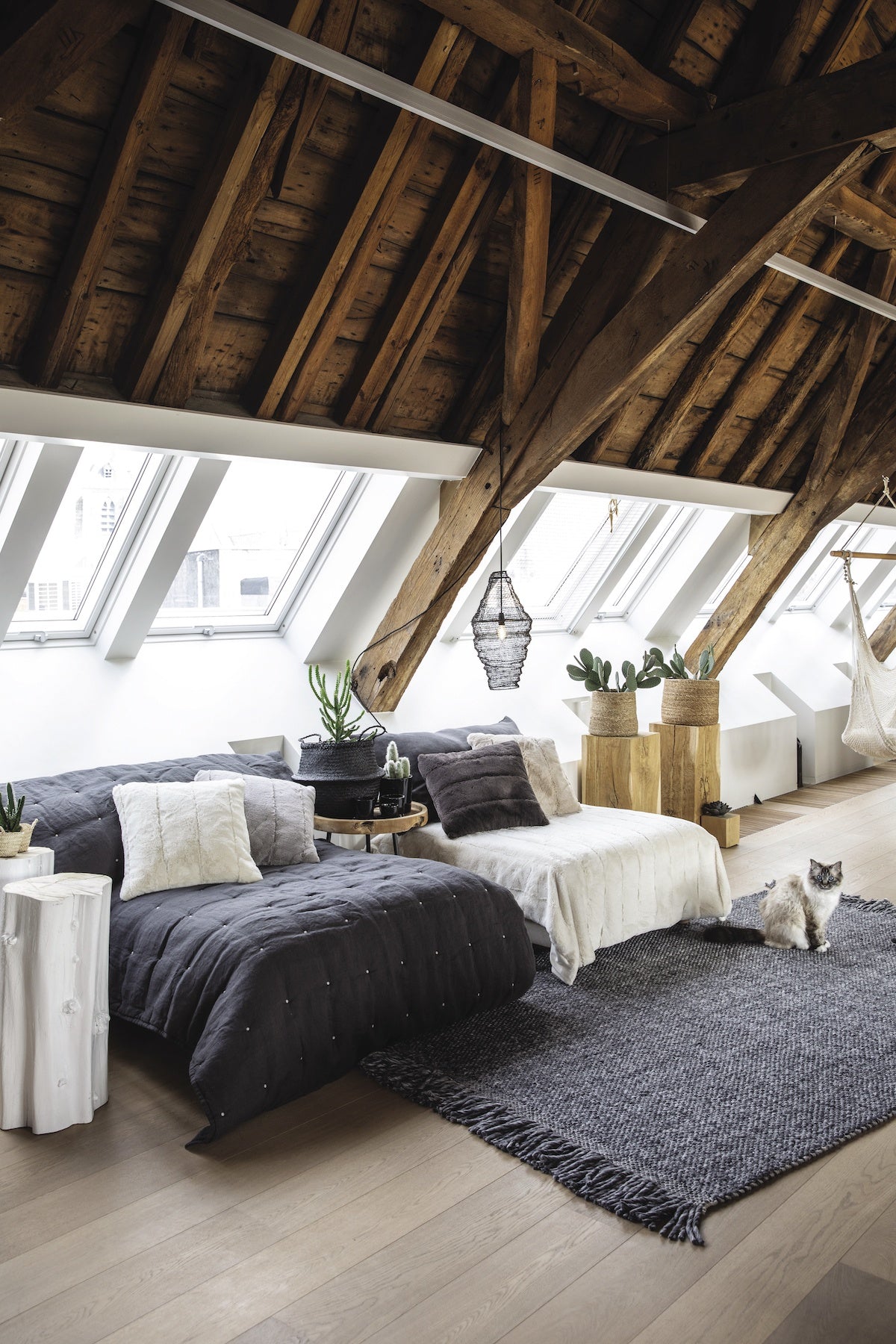 plaid zeff tonnerre, colore tonnerre, taglia 180 x 260. coperta di qualità ideale per le notti fredde o il relax sul divano