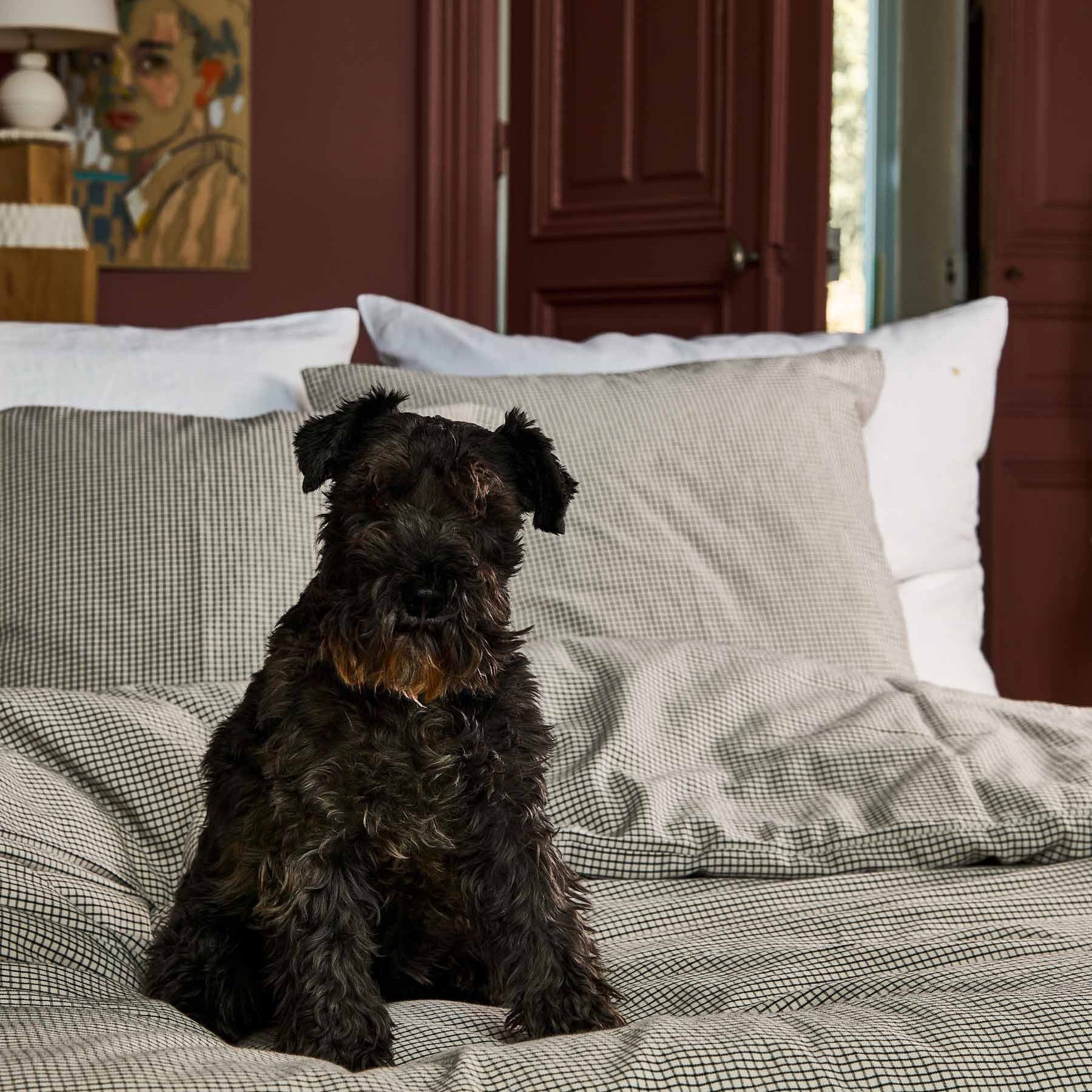 copripiumino gustave caviar, colore gustave caviar, taglia 240 x 260. facile da cambiare per un look sempre fresco