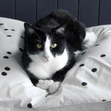 federa odette milk, colore milk, taglia 50 x 70. design sobrio ed elegante, ideale per ogni stile di camera da letto