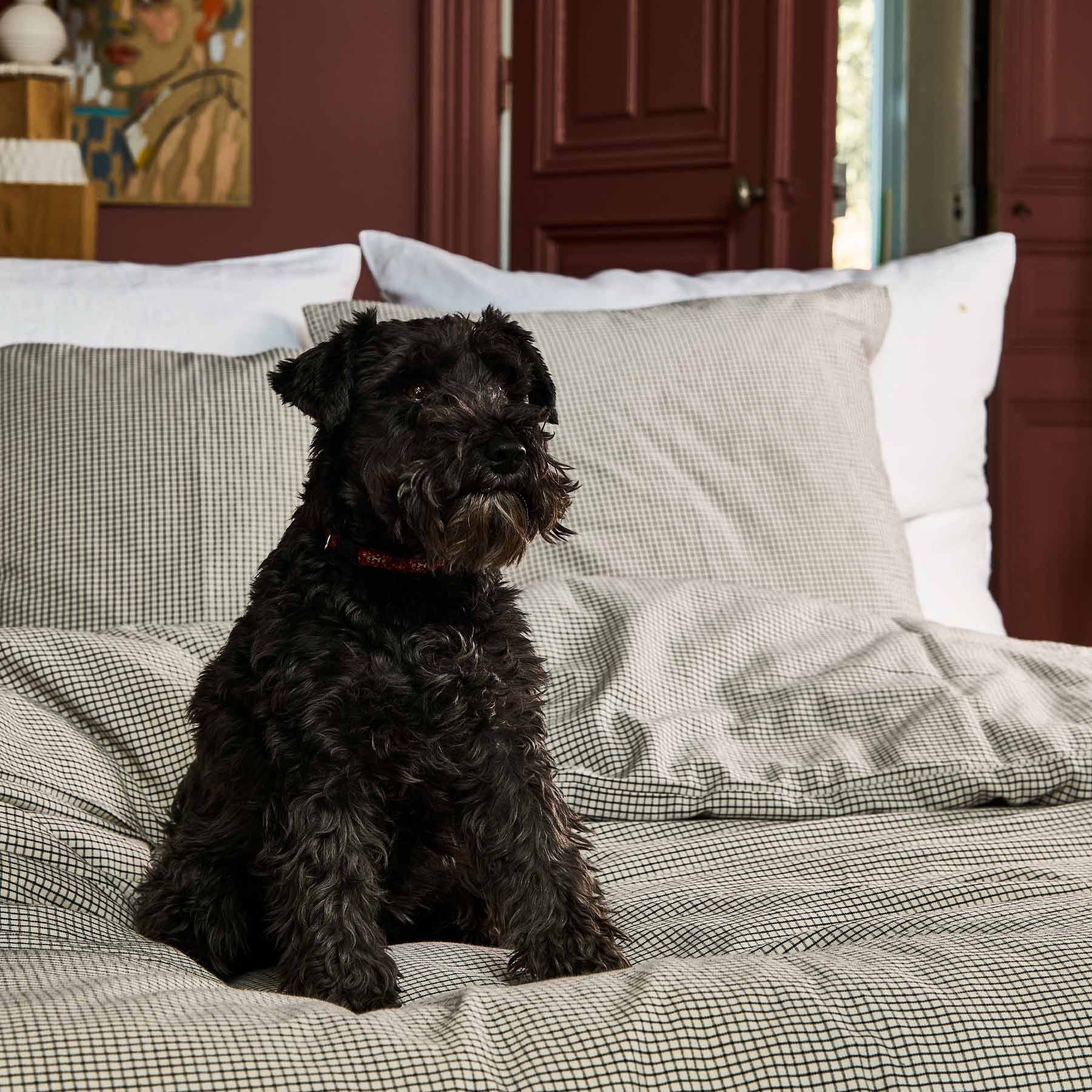 federa gustave caviar, colore gustave caviar, taglia 65 x 65. tessuto resistente ai lavaggi e piacevole al tatto per un uso quotidiano