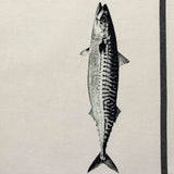 strofinaccio maquereau ecru, colore ecru, taglia 50 x 70. confezionato in 100% cotone bio, assorbenza e resistenza per ogni esigenza in cucina