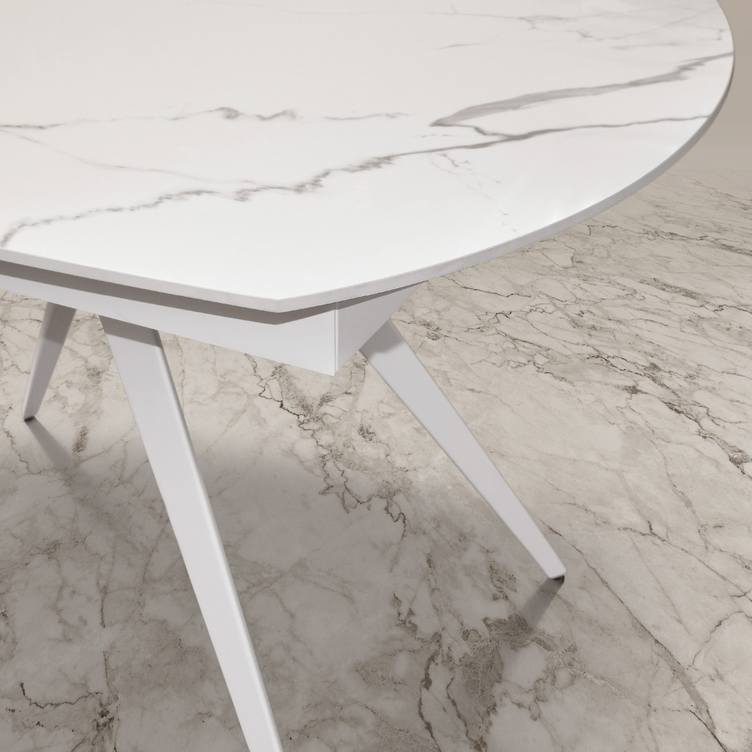 Immagine non trovata