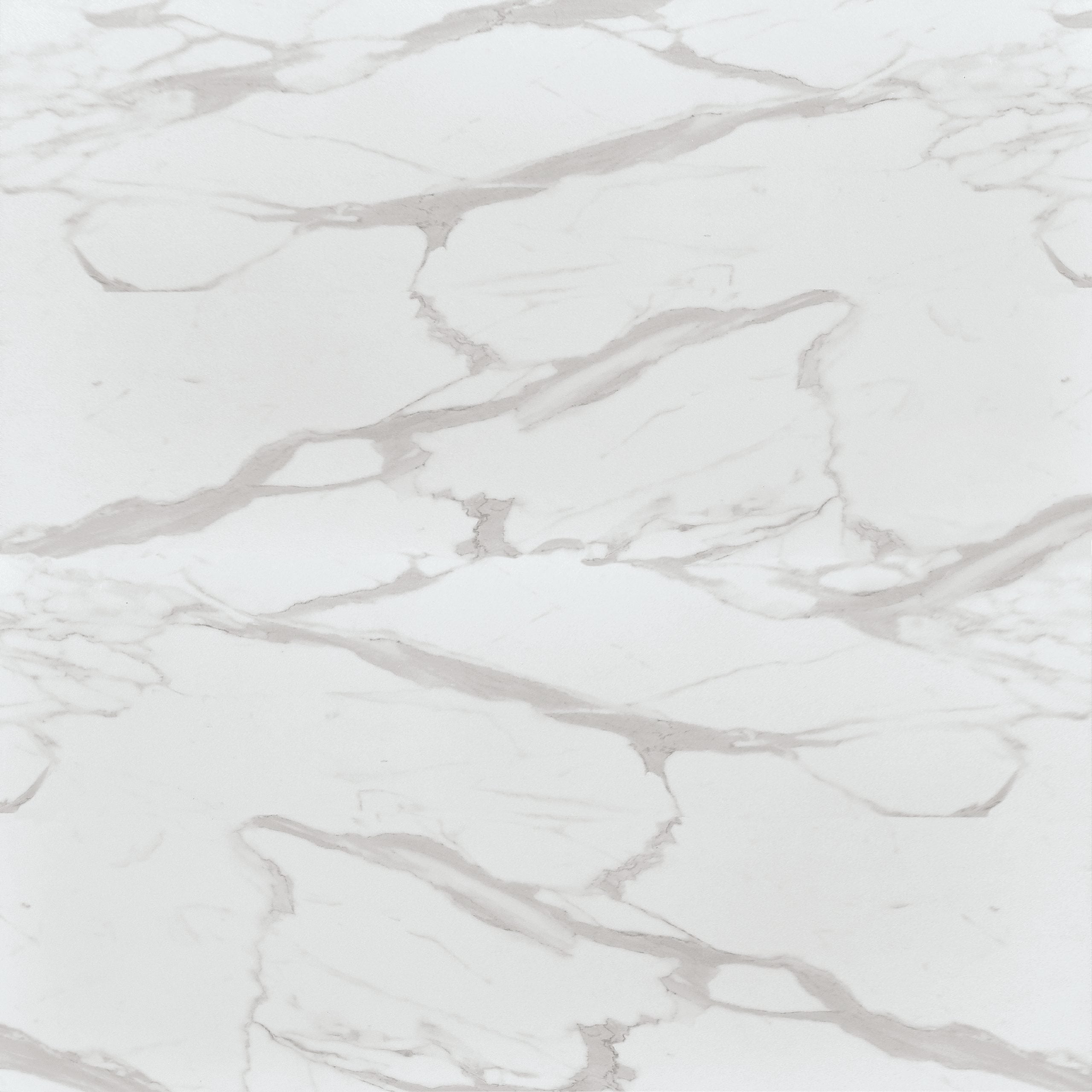 Immagine non trovata