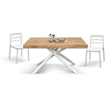 tavolo forte dei marmi rovere rustico allungabile con base bianca 160×90 cm – 240×90 cm, vista ambientata con sedie abbinate