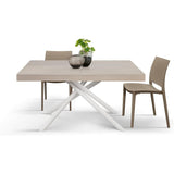 tavolo carrara in legno, finitura olmo perla e base in metallo verniciato bianco, allungabile 140×90 cm – 220×90 cm, vista...