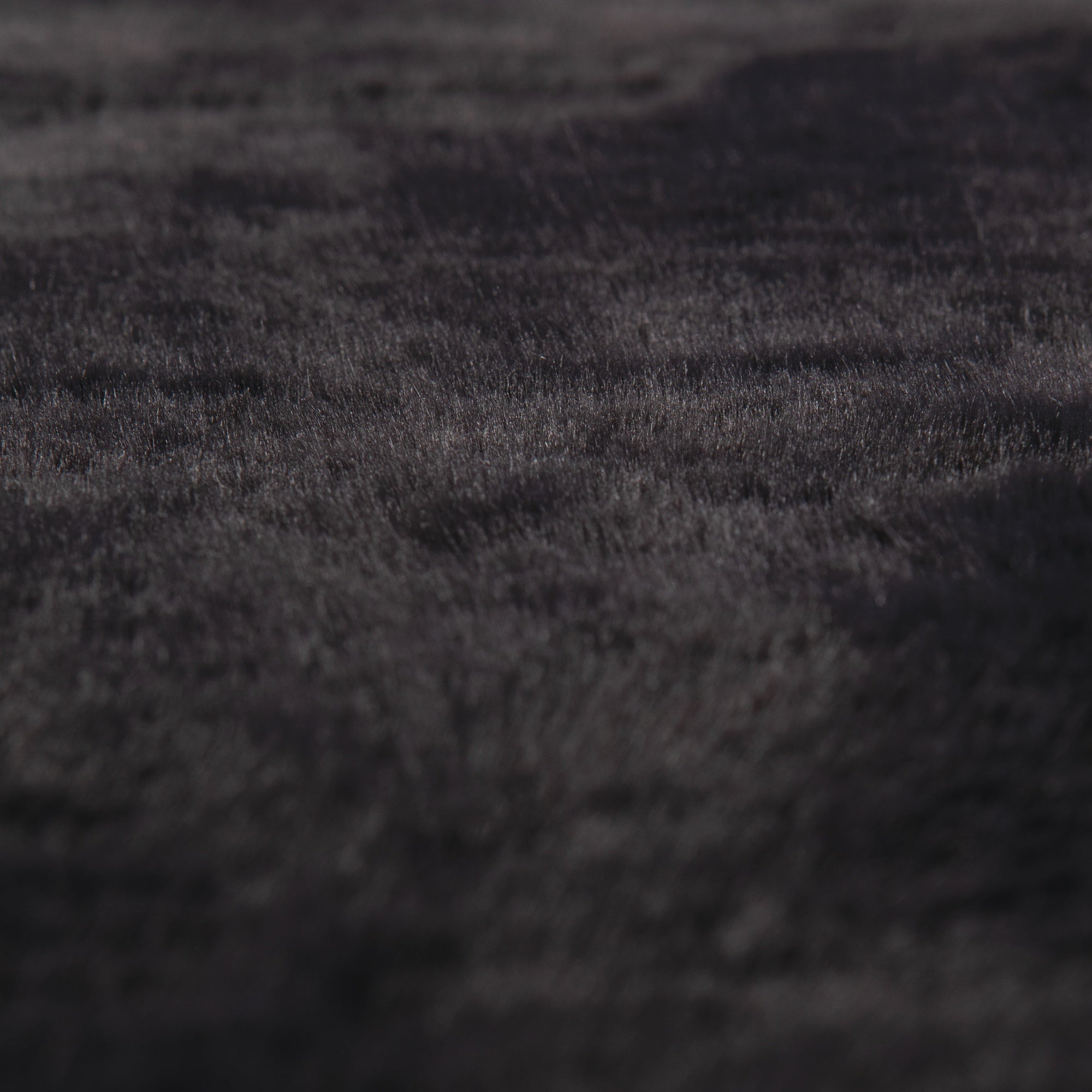 tappeto eddy ombra, colore ombra, taglia 70 x 140. perfetti per valorizzare soggiorno, camera e zona relax con eleganza