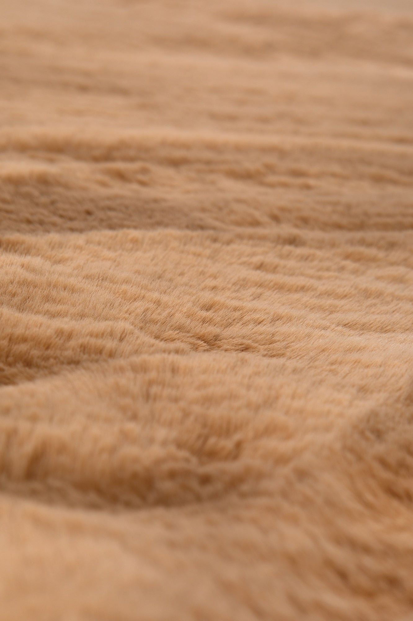 tappeto eddy cammello, colore cammello, taglia 120 x 170. perfetti per valorizzare soggiorno, camera e zona relax con eleganza