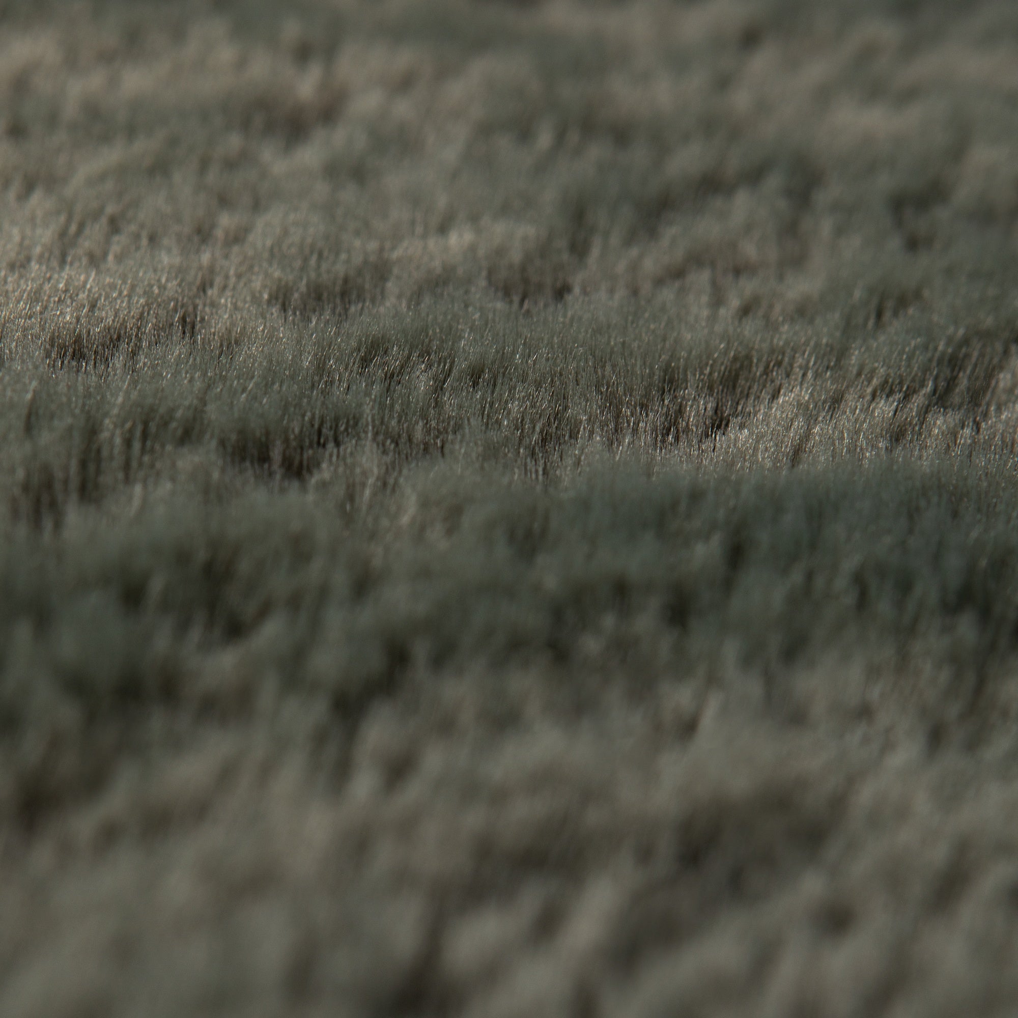 tappeto eddy timo, colore timo, taglia 200 x 290. perfetti per valorizzare soggiorno, camera e zona relax con eleganza