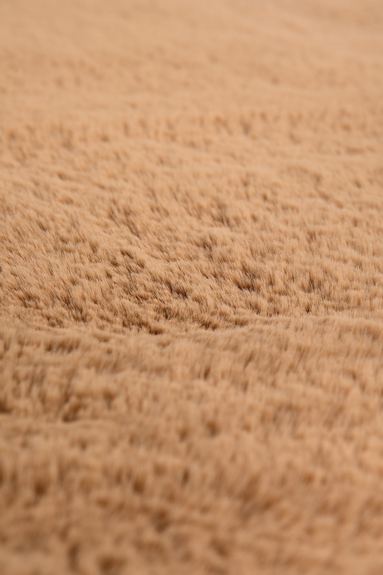 tappeto eddy cammello, colore cammello, taglia diamètre 160. perfetti per valorizzare soggiorno, camera e zona relax con eleganza