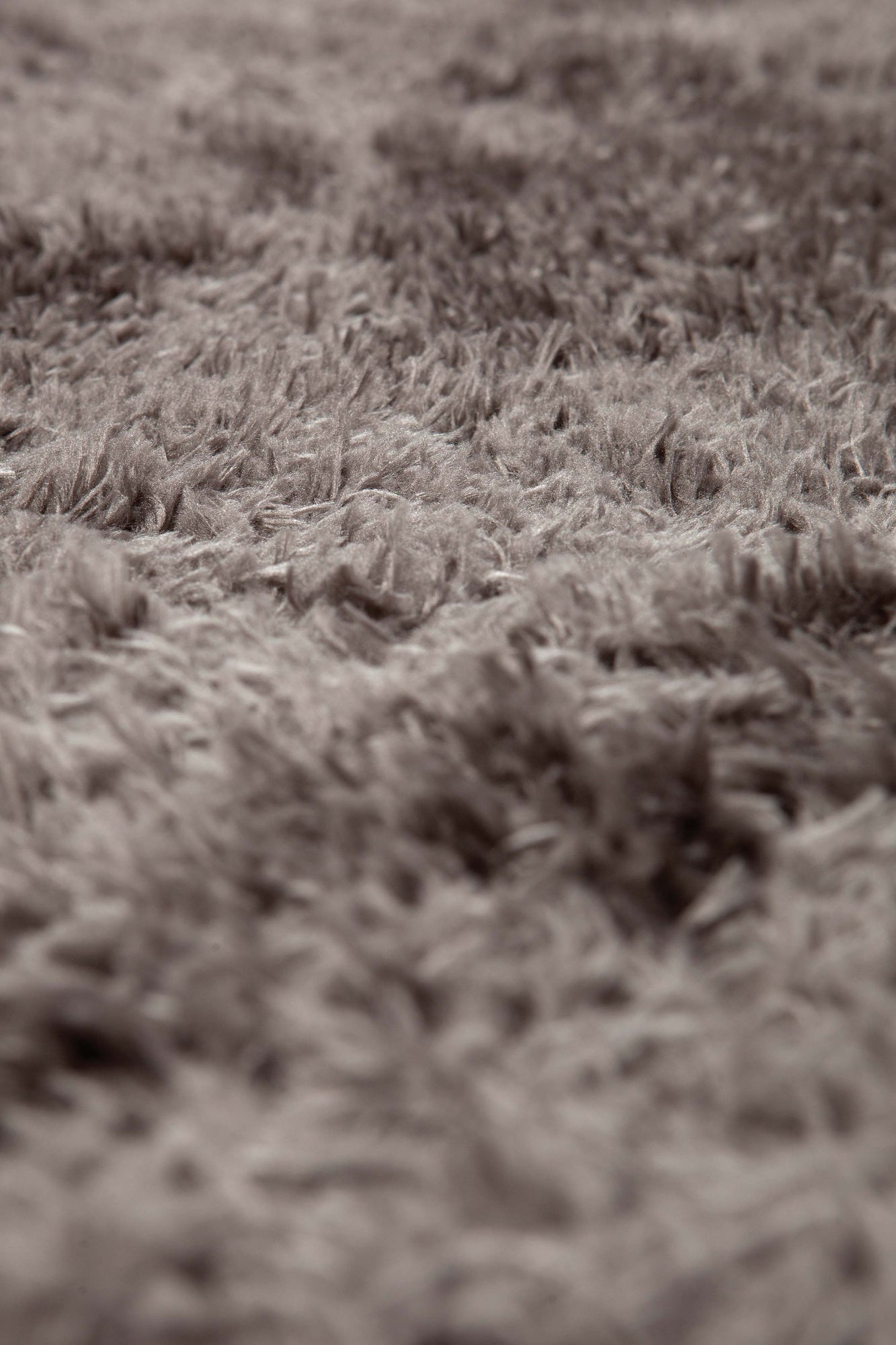 tappeto miky grigio, colore grigio, taglia 160 x 230. perfetti per valorizzare soggiorno, camera e zona relax con eleganza