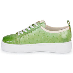 Sneakers basse donne Melvin & Hamilton  AMBER 6  Verde 