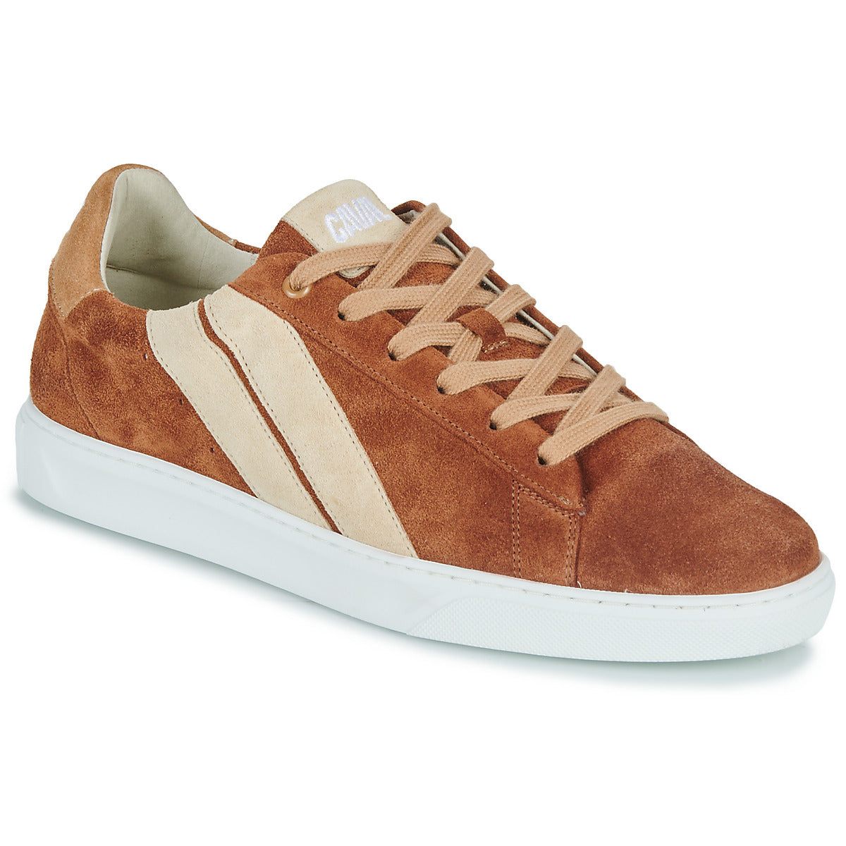 Sneakers uomini Caval  SLASH BROWN COFFEE  Marrone 