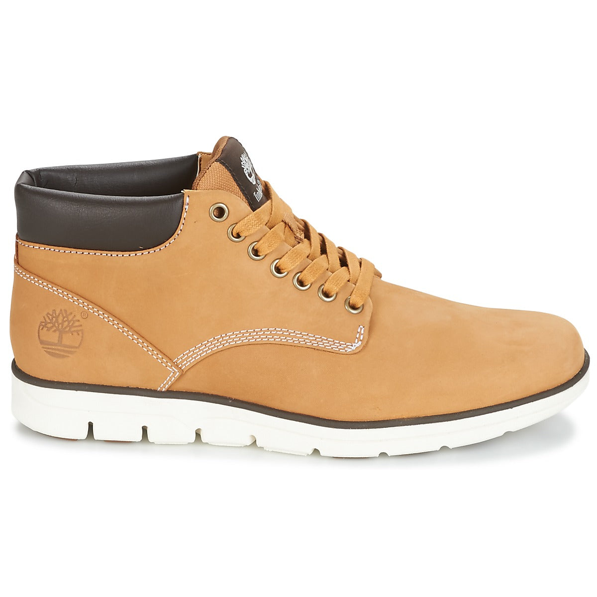 Sneakers alte uomini Timberland  BRADSTREET CHUKKA LEATHER  Marrone 