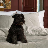 federa gustave caviar, colore gustave caviar, taglia 65 x 65. tessuto resistente ai lavaggi e piacevole al tatto per un uso quotidiano