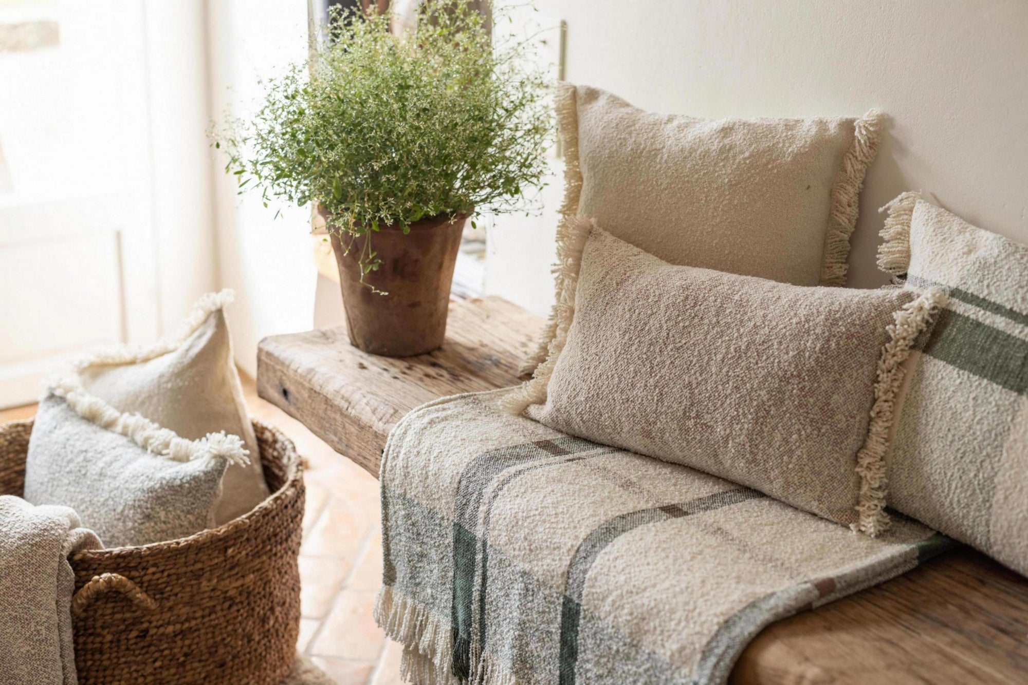 plaid jacquard jane multico, colore multico, taglia 130 x 160. versatile e pratico per ogni angolo della casa, dal soggiorno...