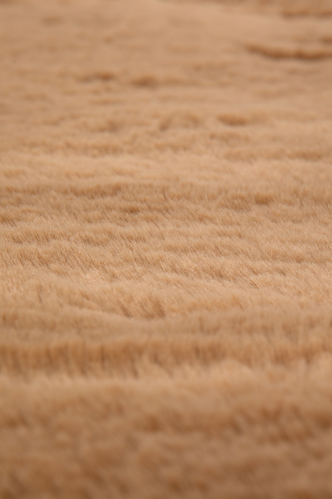 tappeto eddy cammello, colore cammello, taglia 70 x 140. perfetti per valorizzare soggiorno, camera e zona relax con eleganza