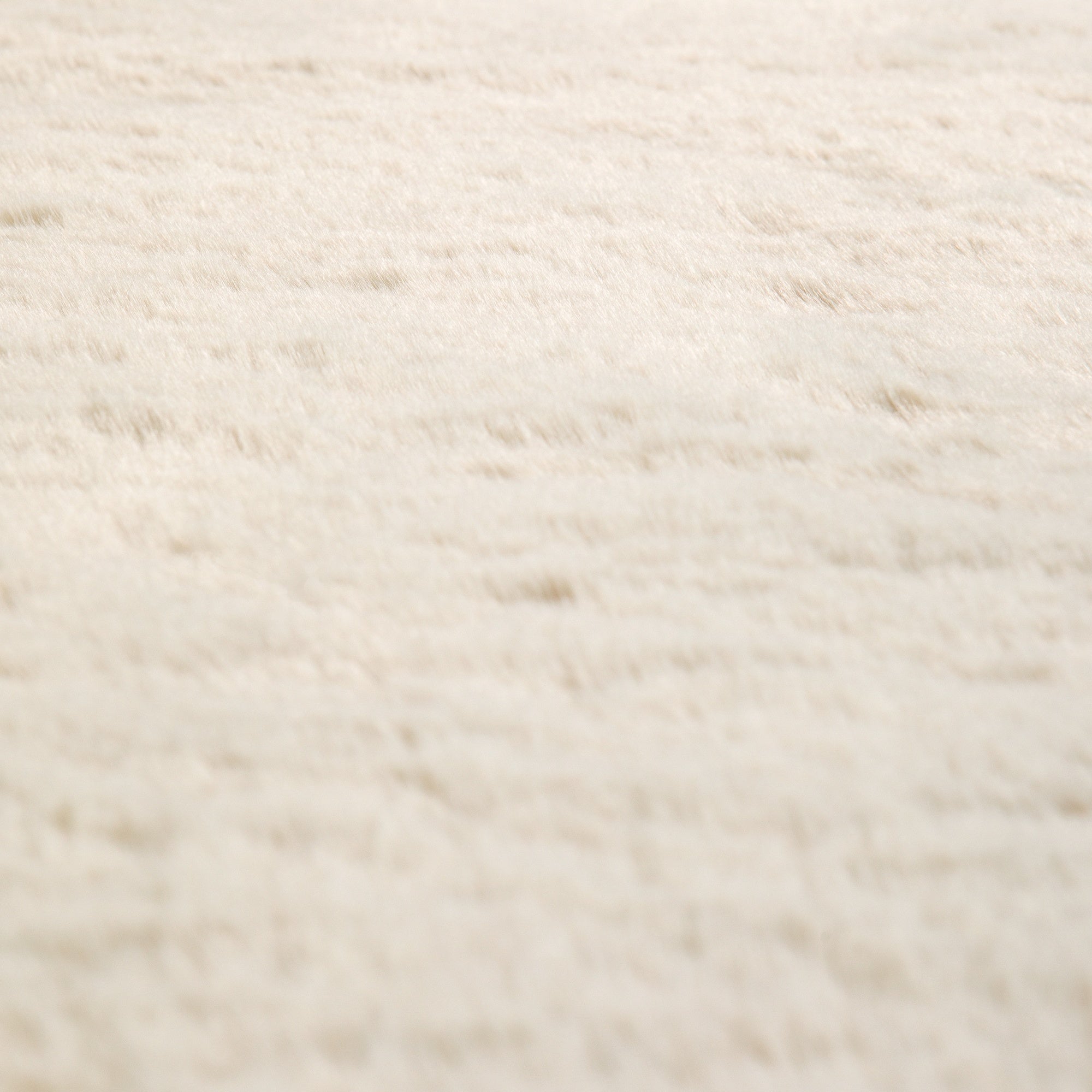 tappeto eddy avorio, colore avorio, taglia 120 x 170. perfetti per valorizzare soggiorno, camera e zona relax con eleganza