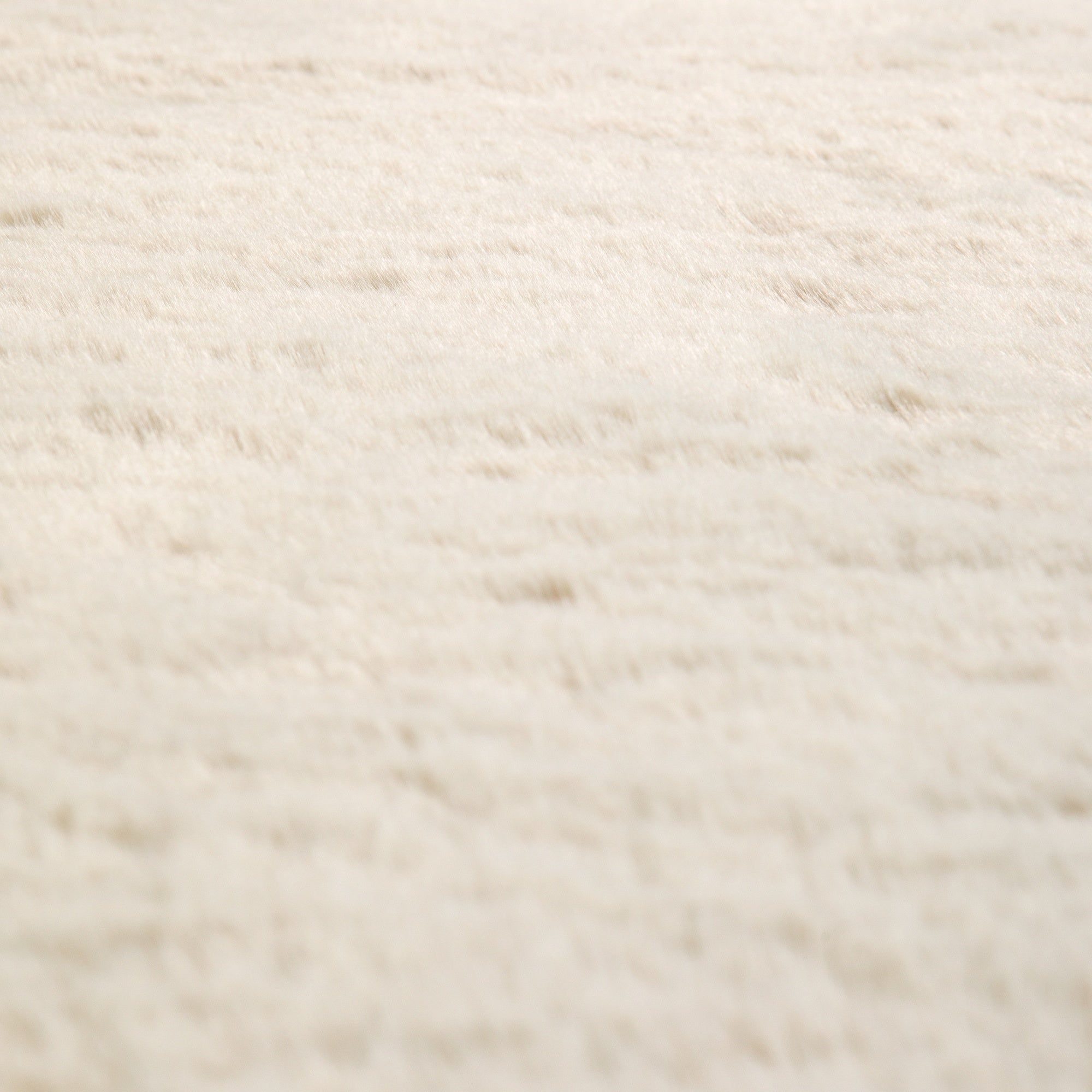 tappeto eddy avorio, colore avorio, taglia 200 x 290. perfetti per valorizzare soggiorno, camera e zona relax con eleganza