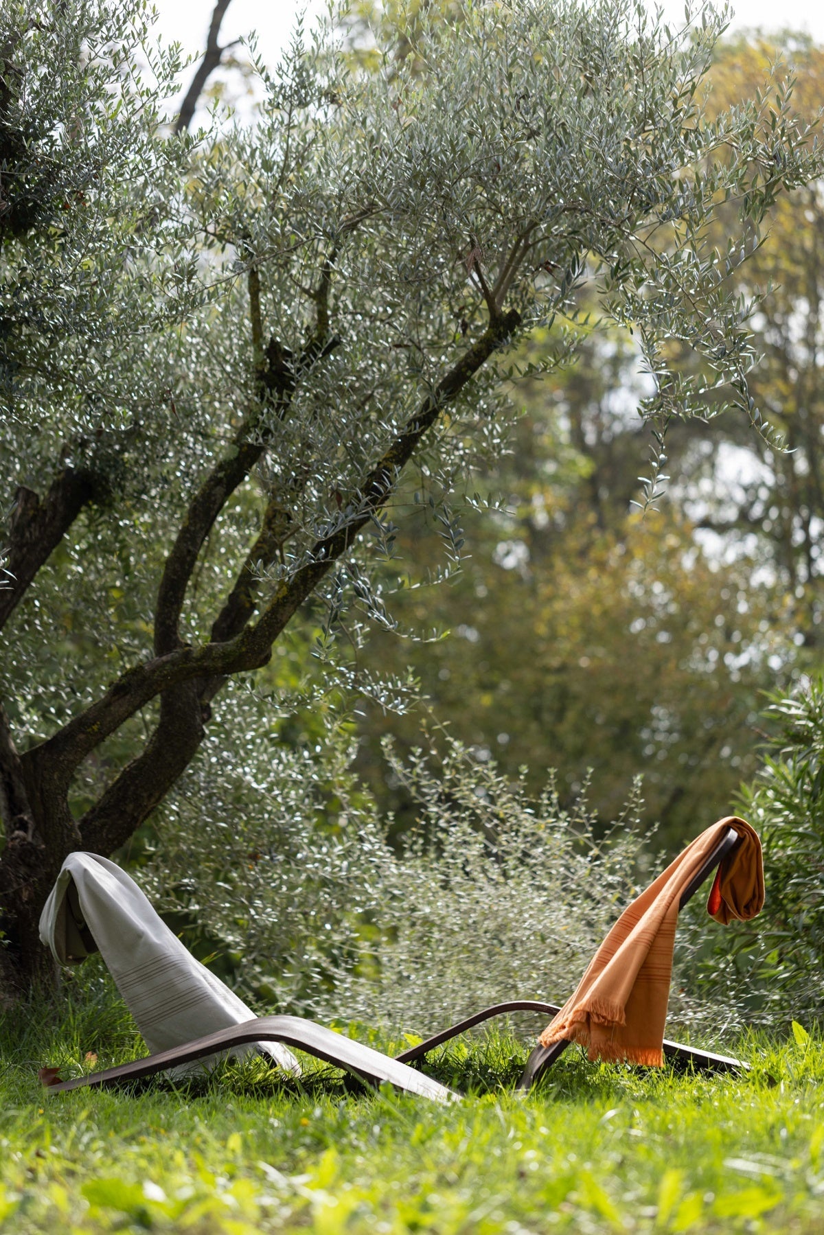 telo hammam cancun zucca, colore zucca, taglia 90 x 180. perfetto per esperienze wellness e viaggi