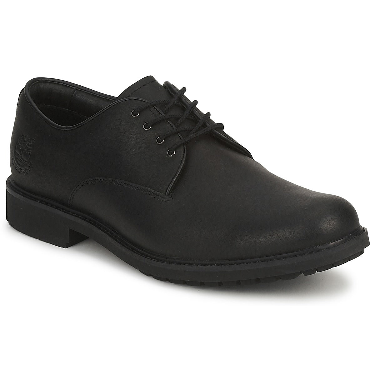 Scarpe uomini Timberland  EK STORMBUCK PLAIN TOE OXFORD  Nero 