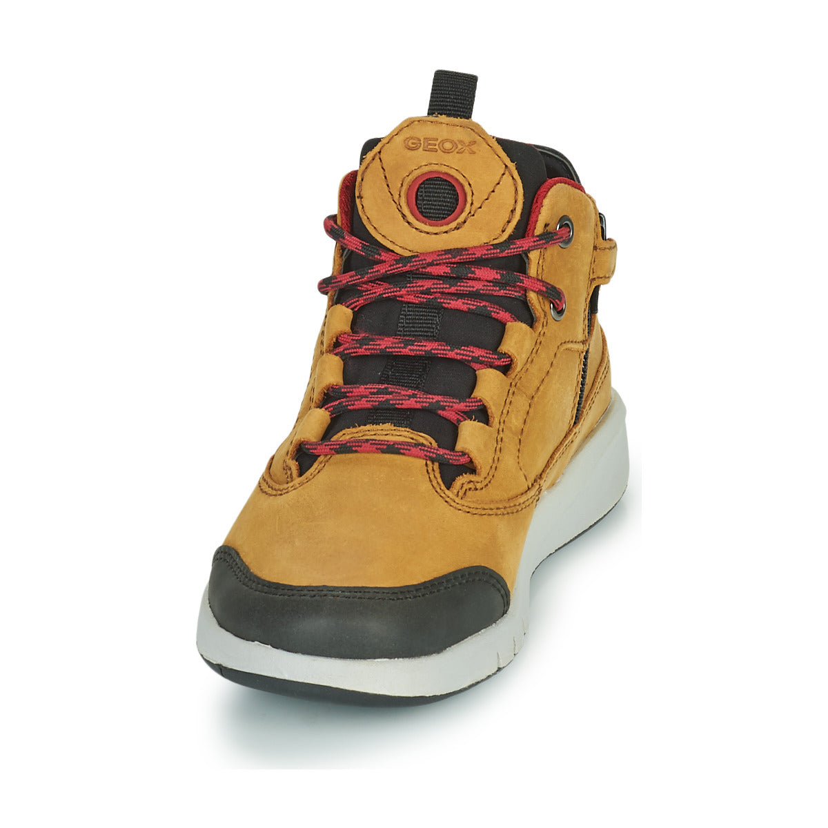 Scarpe bambini ragazzo Geox  AERANTER ABX  Marrone 