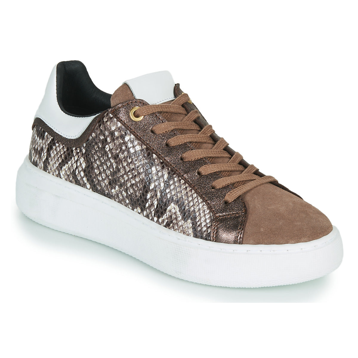 Sneakers basse donne JB Martin  HIBISCUS  Marrone 