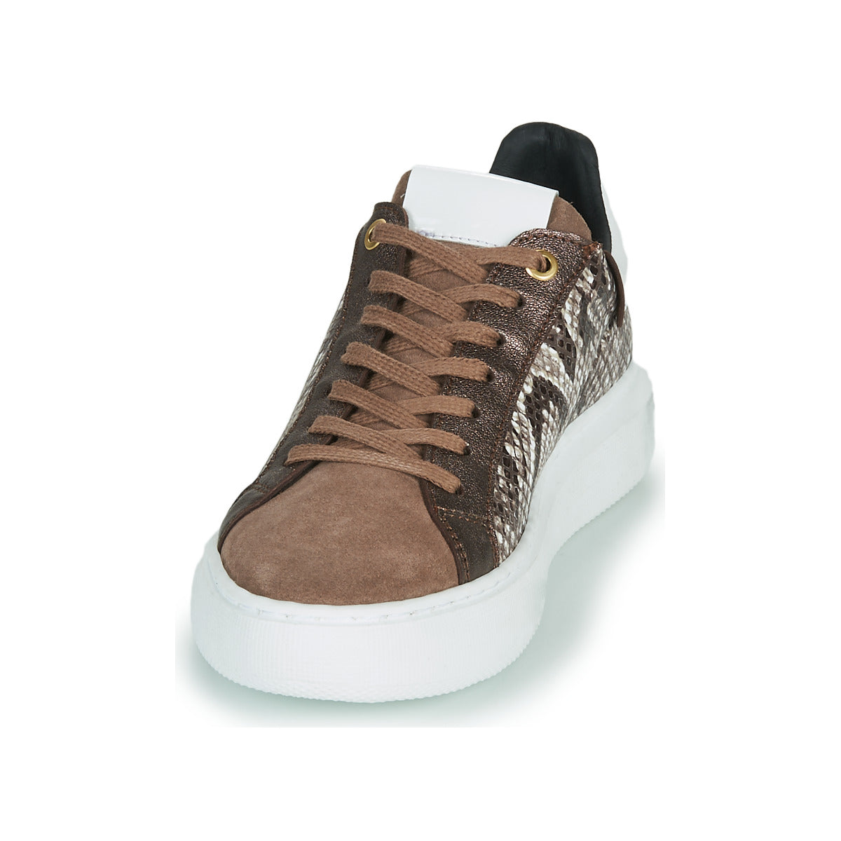 Sneakers basse donne JB Martin  HIBISCUS  Marrone 