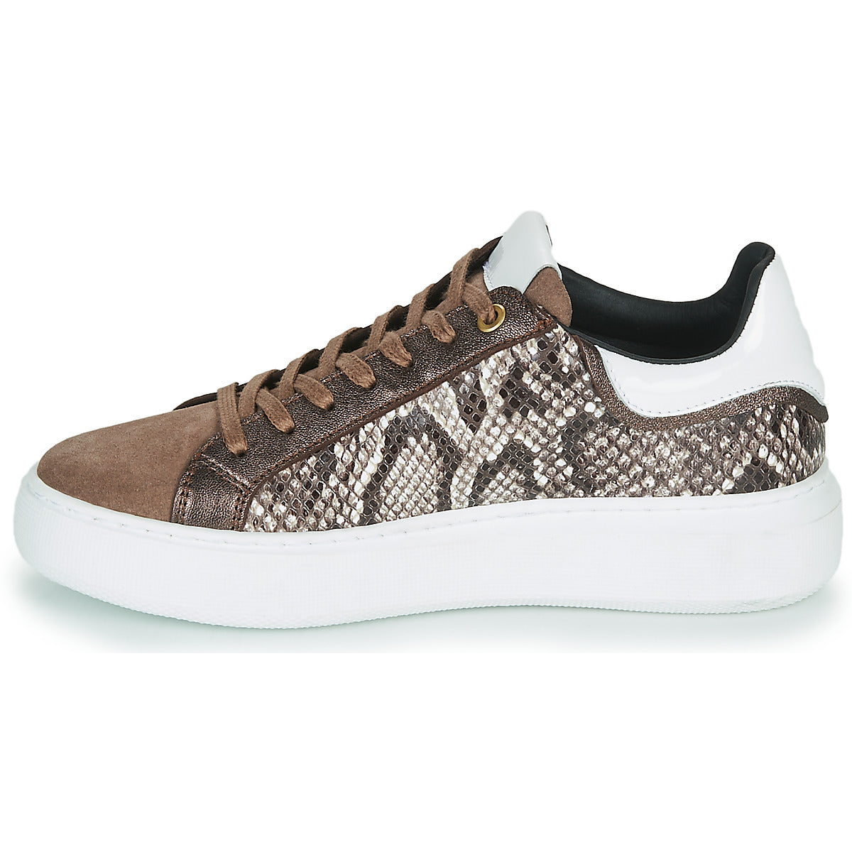 Sneakers basse donne JB Martin  HIBISCUS  Marrone 