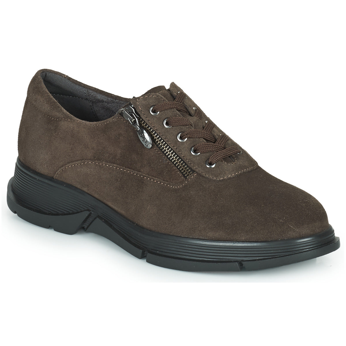 Sneakers basse donne Scholl  BRISTOL ZIP  Marrone 