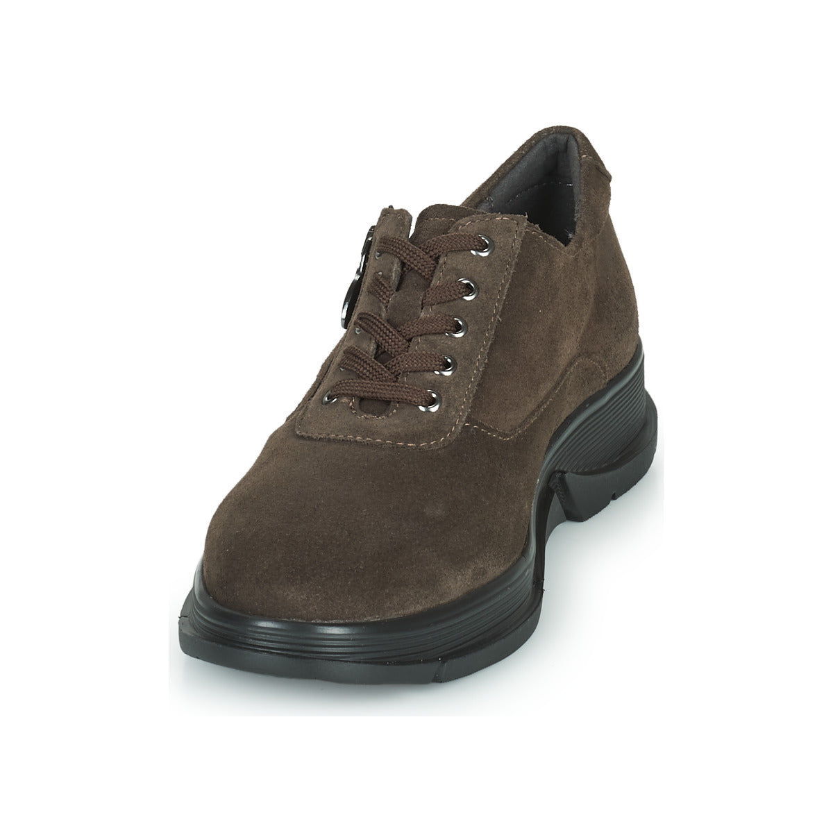 Sneakers basse donne Scholl  BRISTOL ZIP  Marrone 