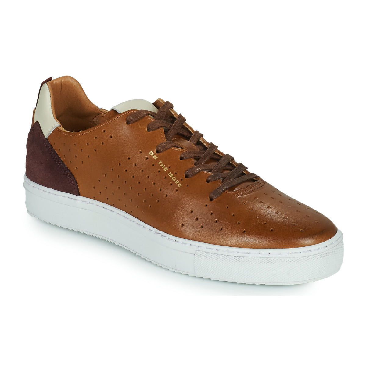 Sneakers uomini Carlington  FREDDI  Marrone 