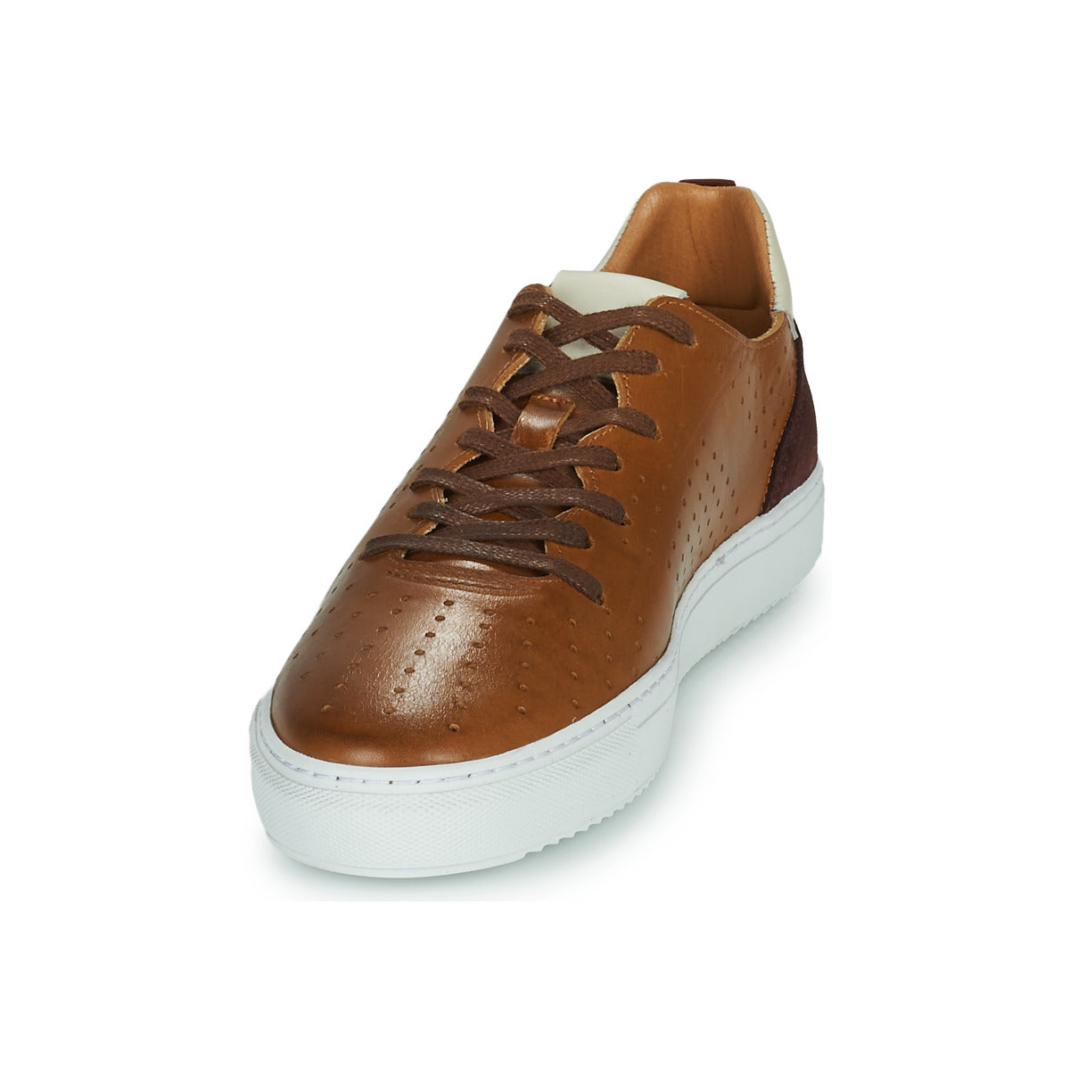 Sneakers uomini Carlington  FREDDI  Marrone 