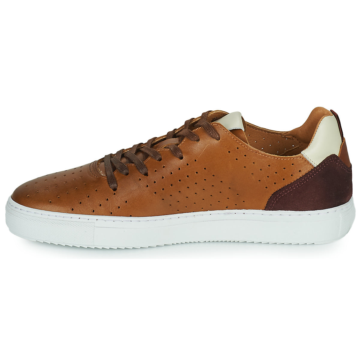 Sneakers uomini Carlington  FREDDI  Marrone 