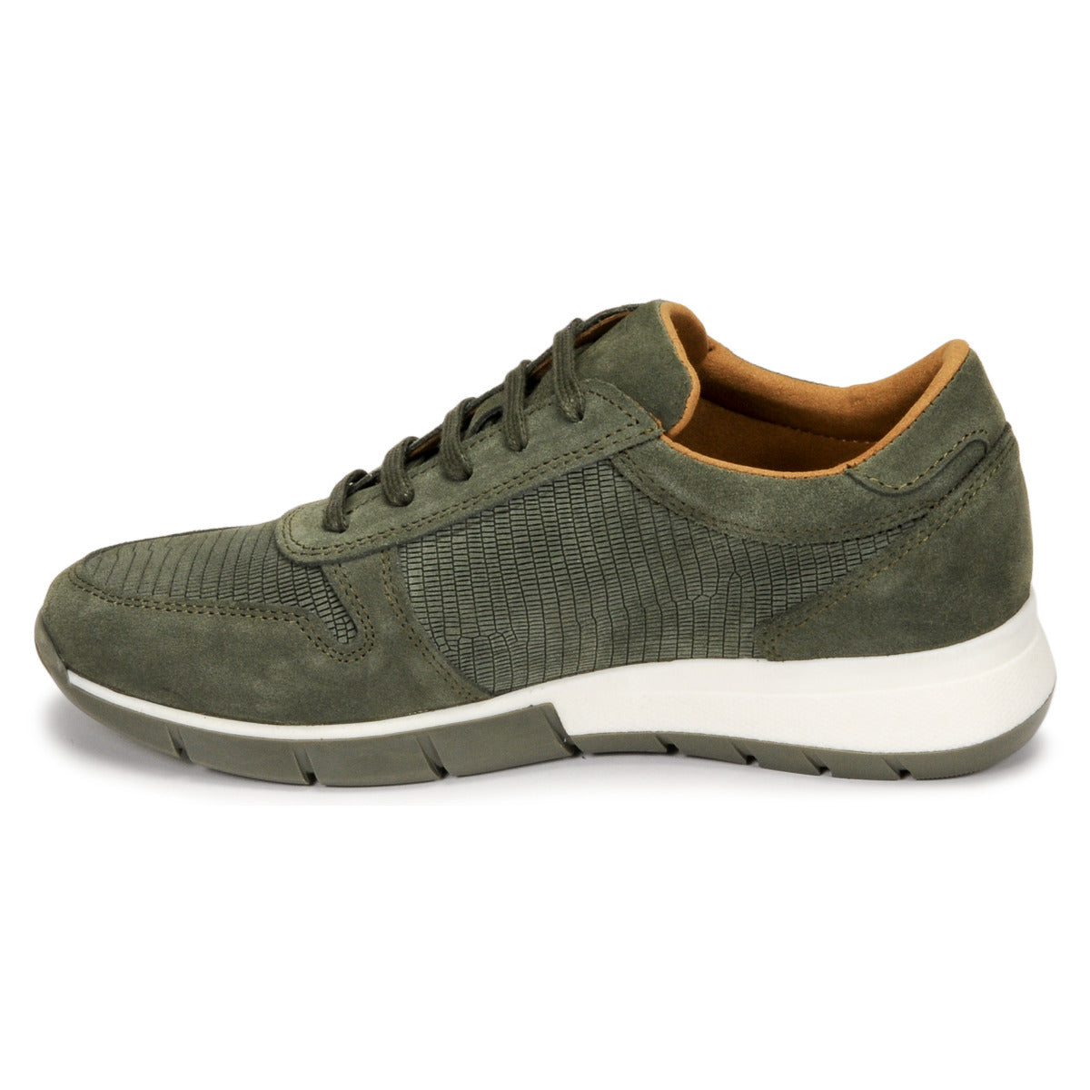 Sneakers basse donne Dream in Green  ARTEMISIA  Verde 