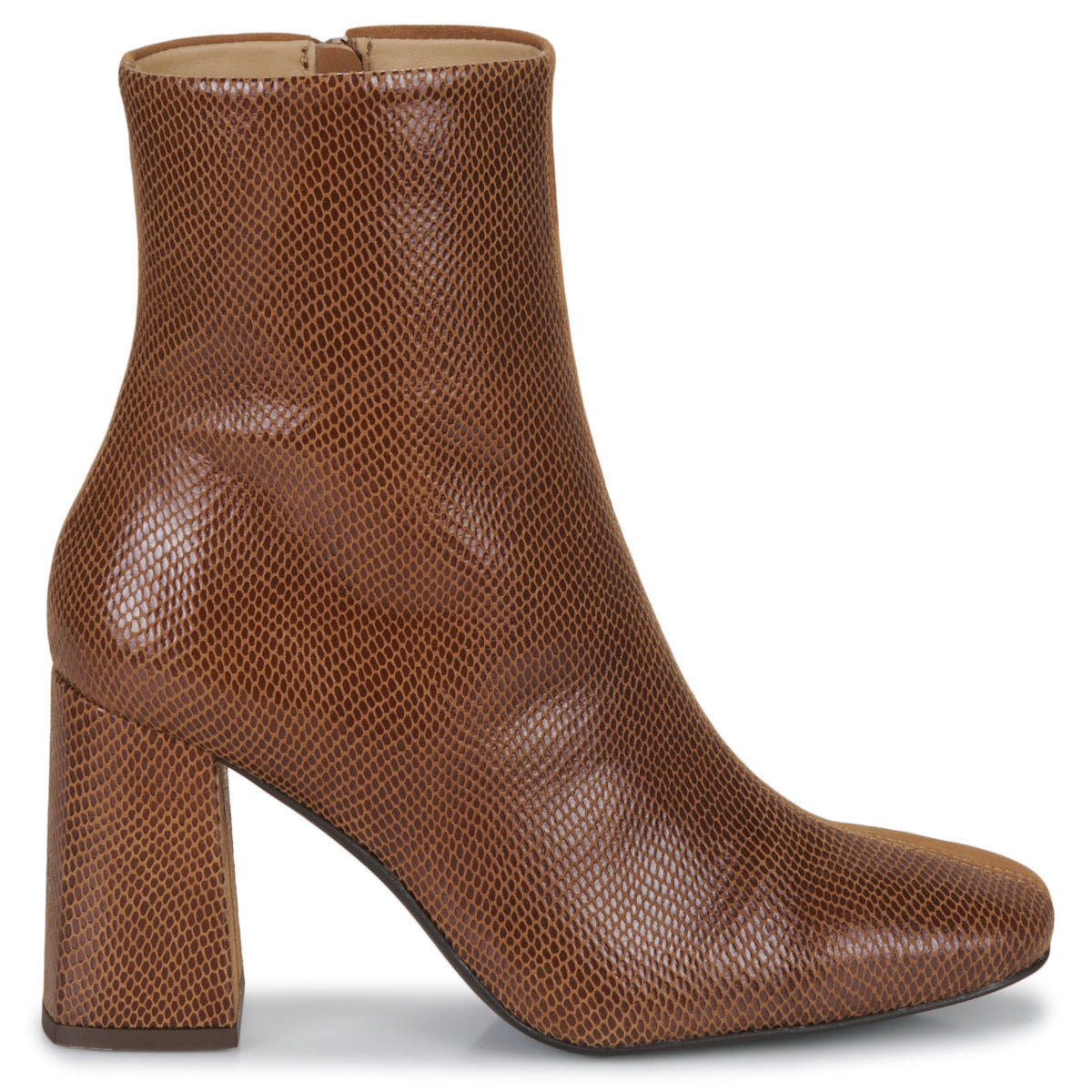 Fericelli HERCULE women's ankle boots Brown